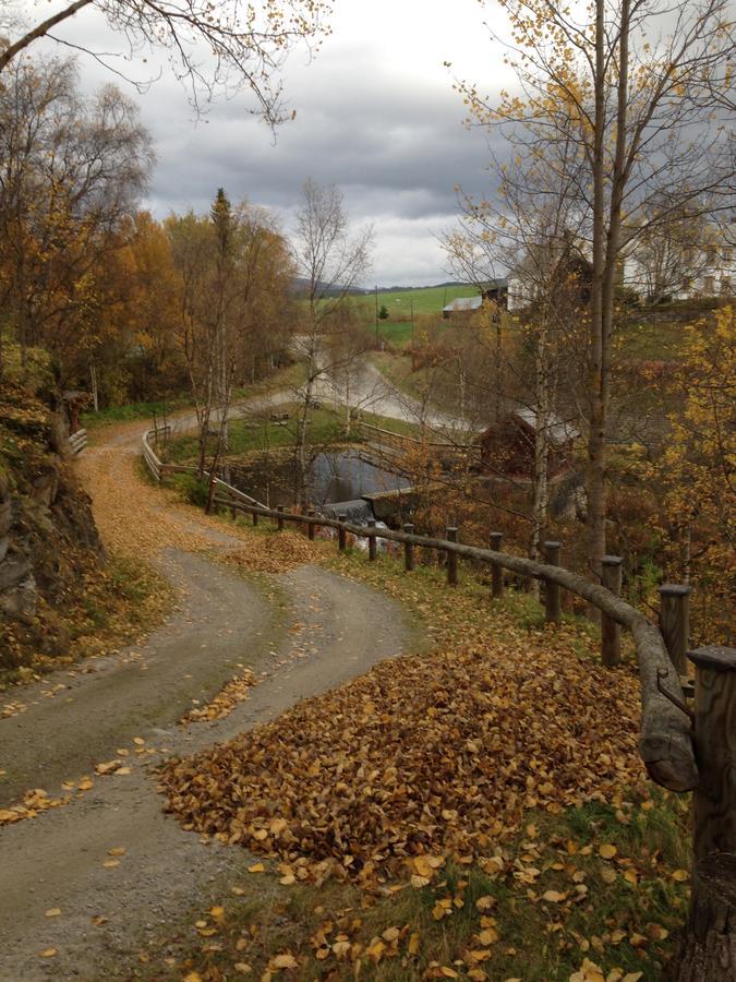Ivaregga Vinterstua Tolga Exterior foto